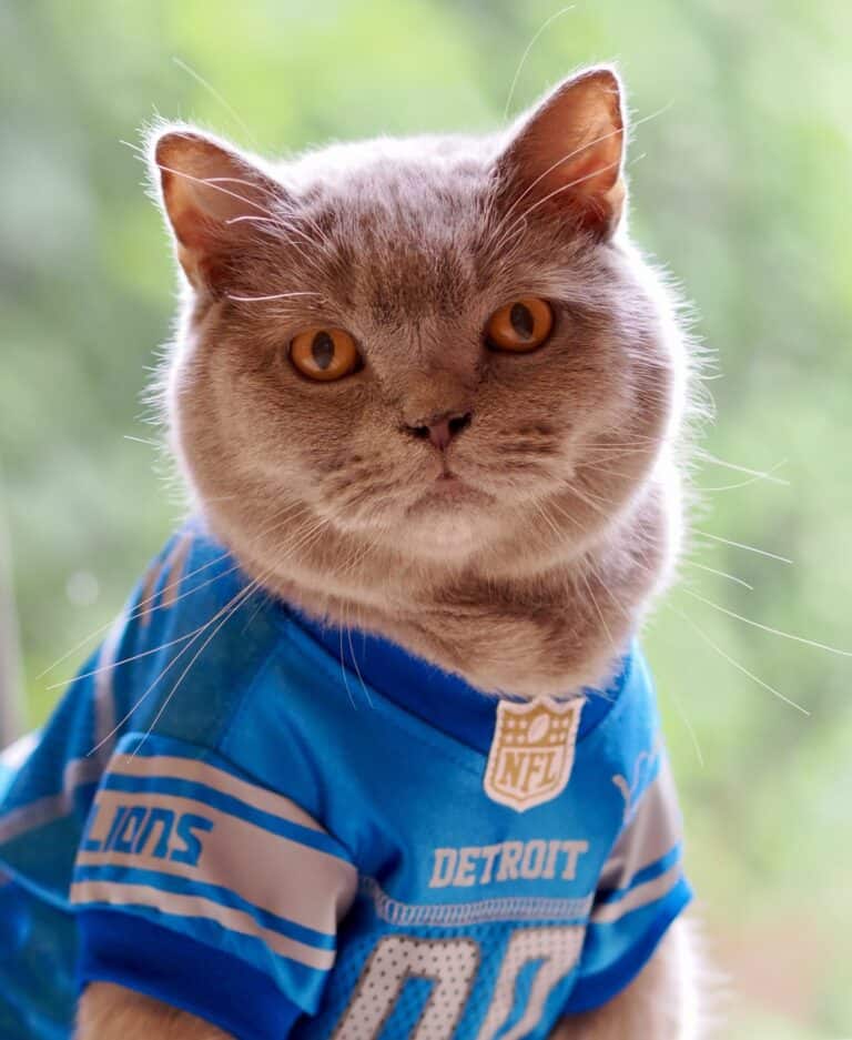 August’s Pet of the Month Winner 2024